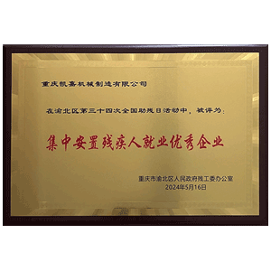 集中安置残疾人就业优秀企业证书